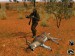 deer2005b